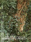 Study_of_an_Ash_Trunk