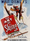Theartofskiing