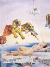 One_Second_Before_Awakening_from_a_Dream_Caused_by_the_Flight_of_a_Bee_Around_a_Promegranatr